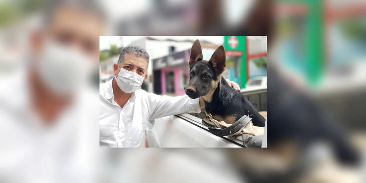 Deputado Cobra Repórter quer auxílio para instituições e famílias que cuidam de animais