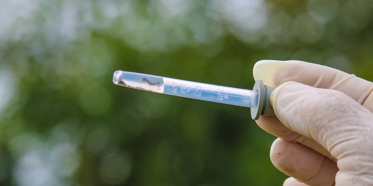 Prefeitura de Turvo alerta população sobre aumento nos focos de dengue