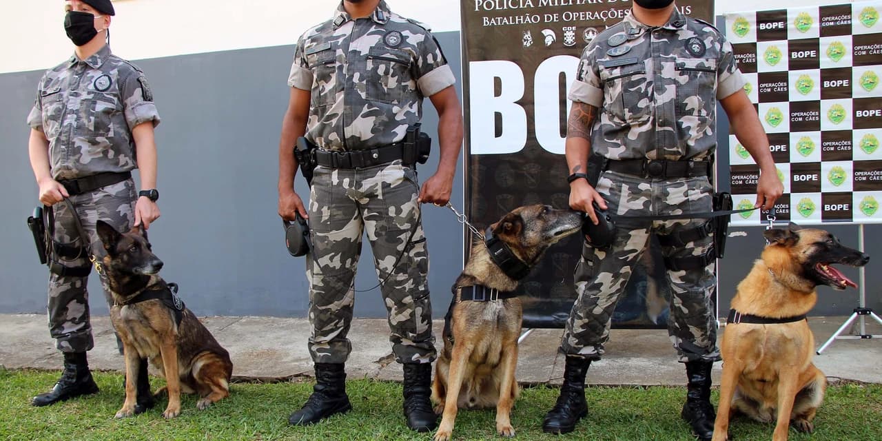 1º Encontro de Cães de Polícia inicia amanhã (1), em Prudentópolis