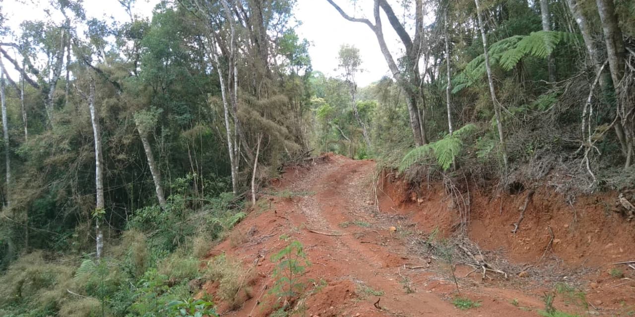 Polícia Ambiental encontra área de destruição na APA da Serra da Esperança responsável foi multado em R$ 207.500,00