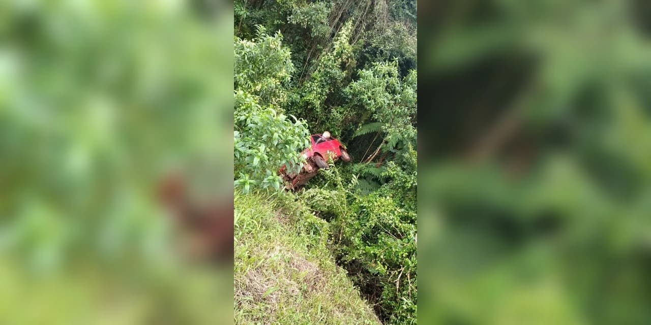 Carro sai da pista e cai em vegetação na BR 277, em Guarapuava