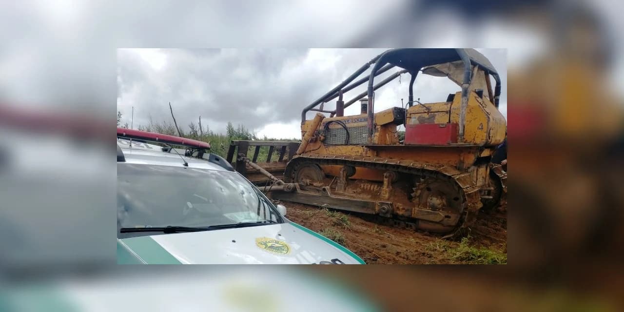 Homem é preso em flagrante em Teixeira Soares por crime ambiental