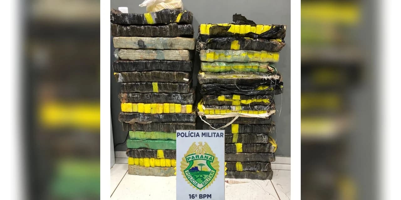 Polícia apreende mais de 270 kg de maconha, em Marquinho