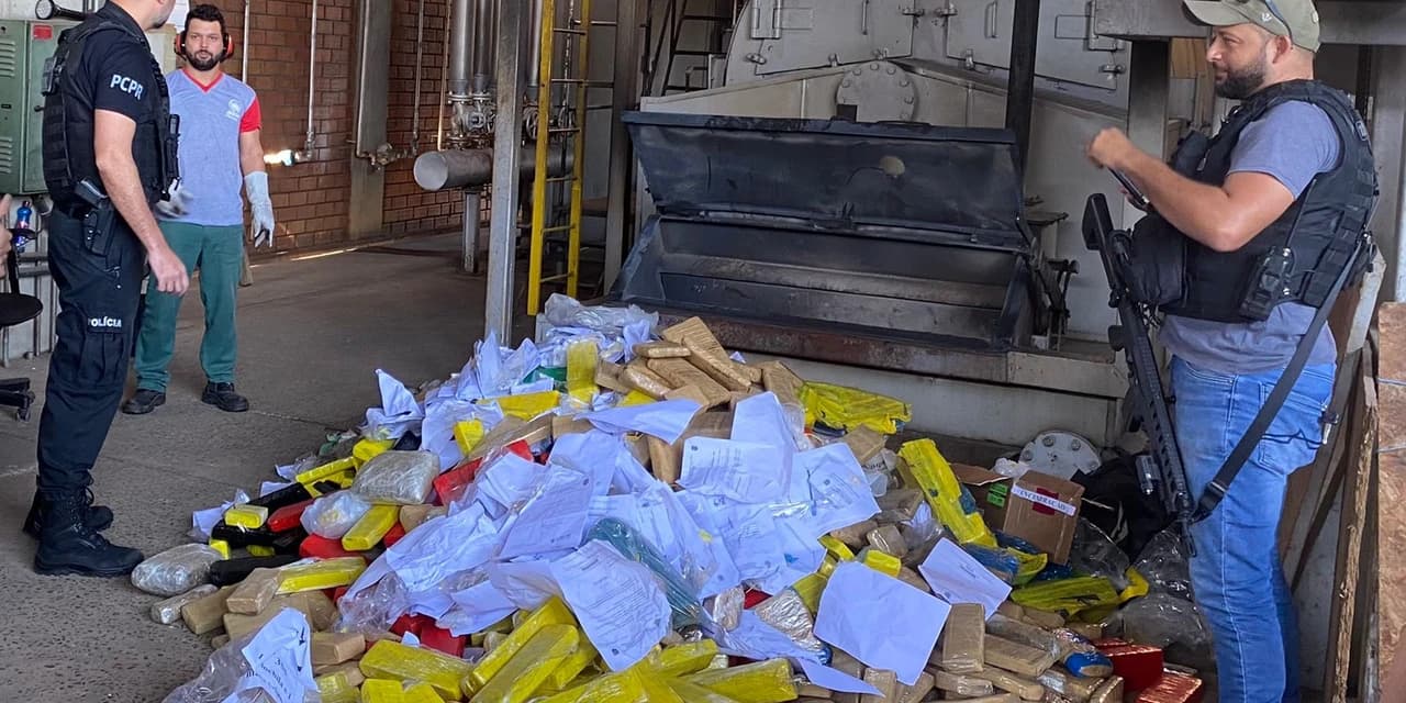 Drogas apreendias pela Polícia Civil de Ponta Grossa são incineradas