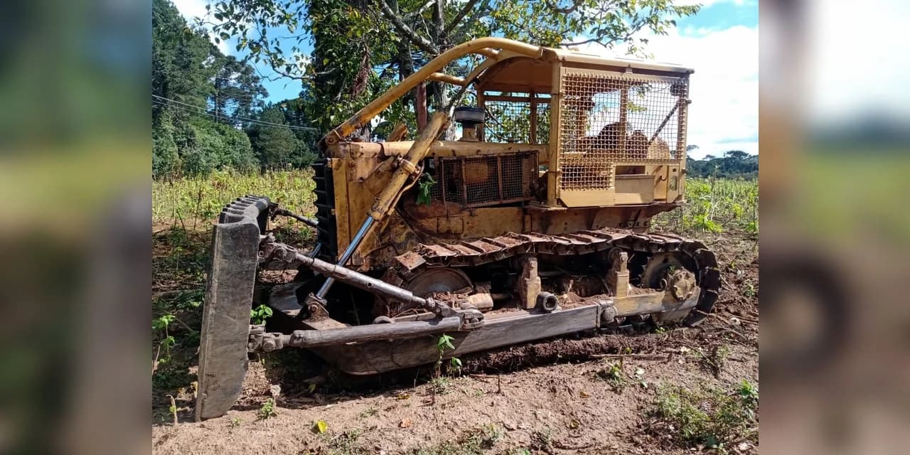 Proprietário é autuado em R$ 63 mil por destruir vegetação nativa sem autorização