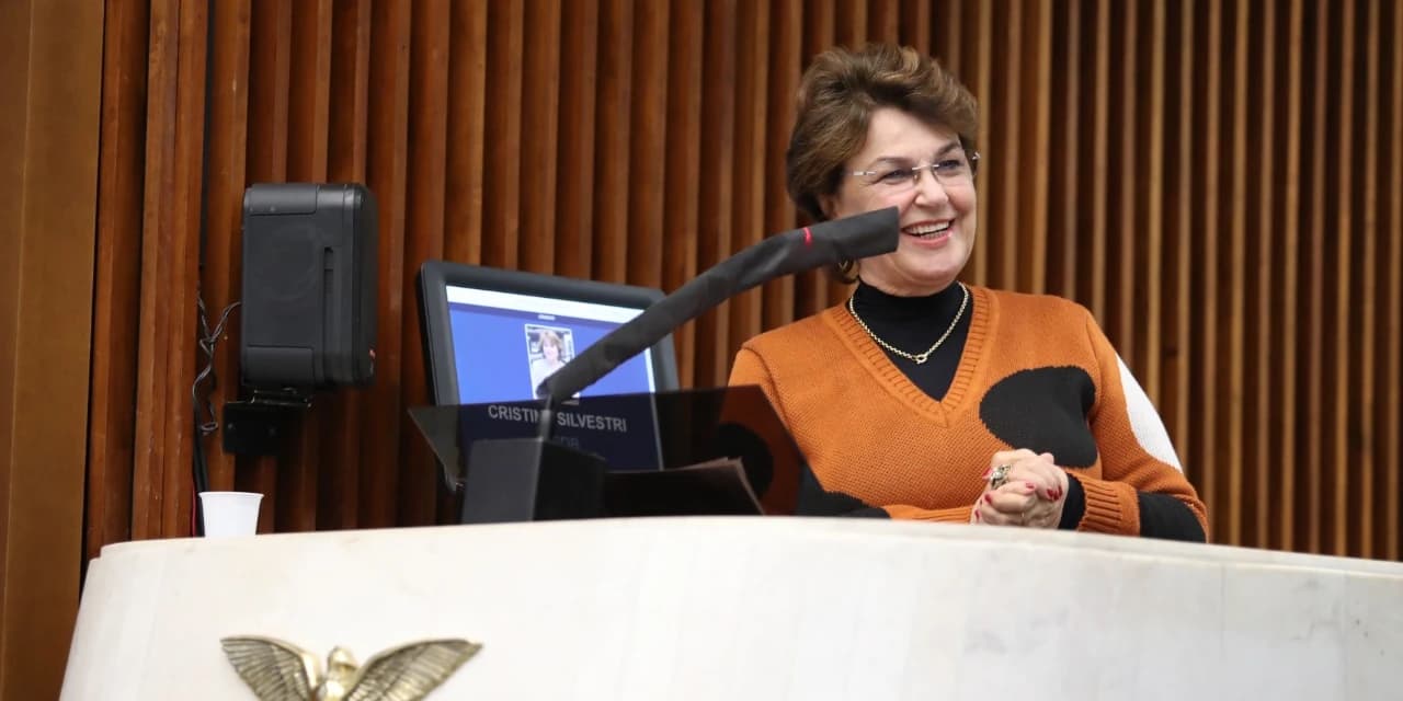 CCJ aprova projeto da deputada Cristina Silvestri que cria casas regionais de proteção às mulheres