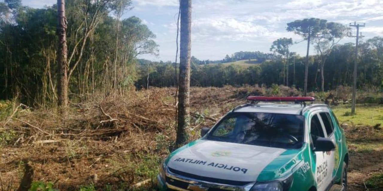 Proprietário é autuado em R$ 336 mil por destruir vegetação nativa sem autorização