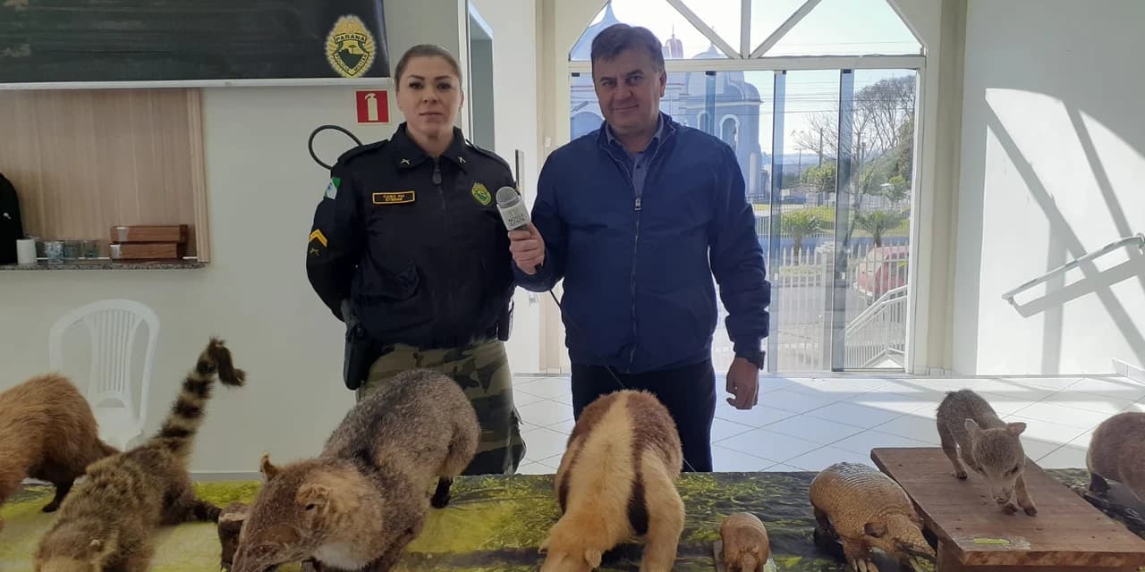 TV NOSSA GENTE: Animais empalhados motivam a consciência ambiental durante evento em Prudentópolis. Assista o VÍDEO!