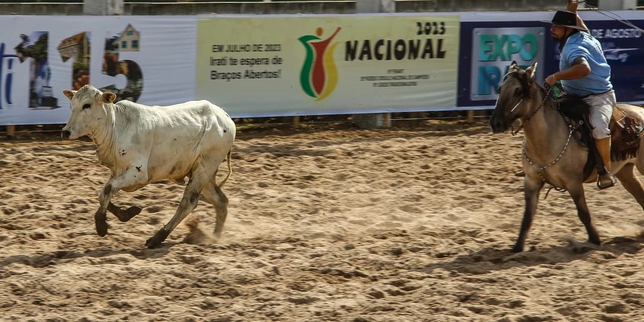 Invernada Campeira reúne mil competidores em Irati