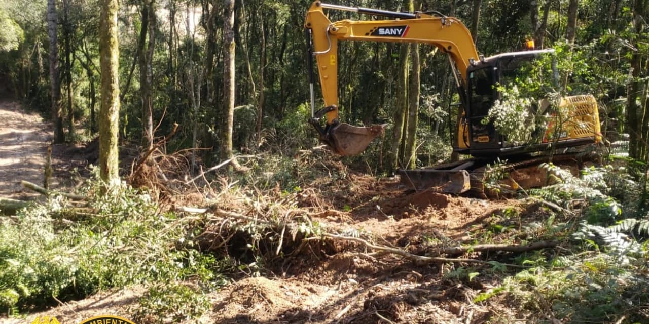 Homem é preso em flagrante por destruição de vegetação nativa em Ipiranga