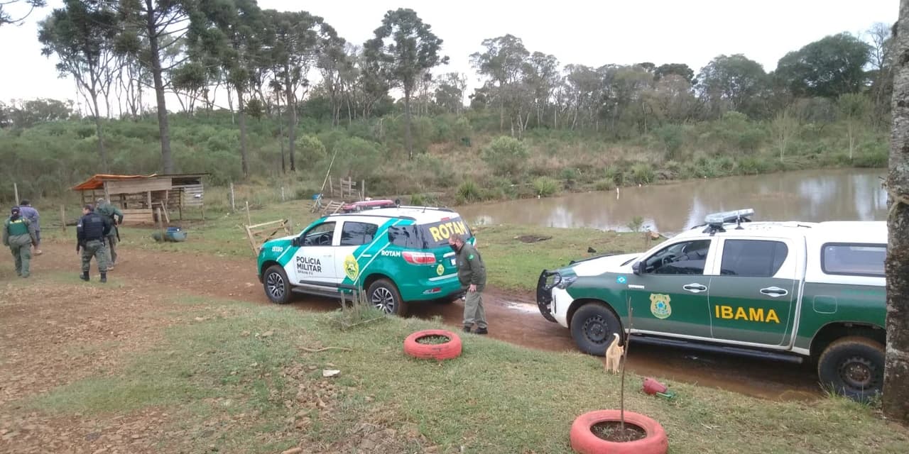 Homem é multado em R$100 mil por capturar animais usando armadilhas em Inácio Martins