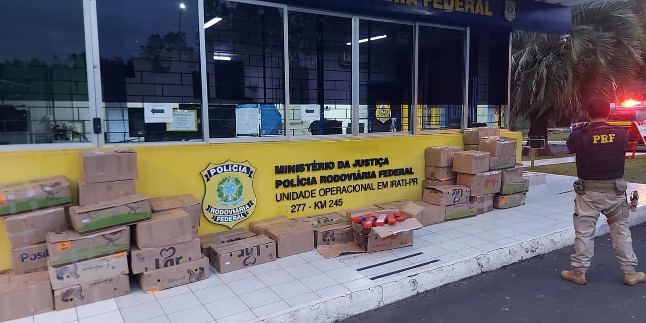 PRF apreende 1,2 toneladas de maconha em Irati