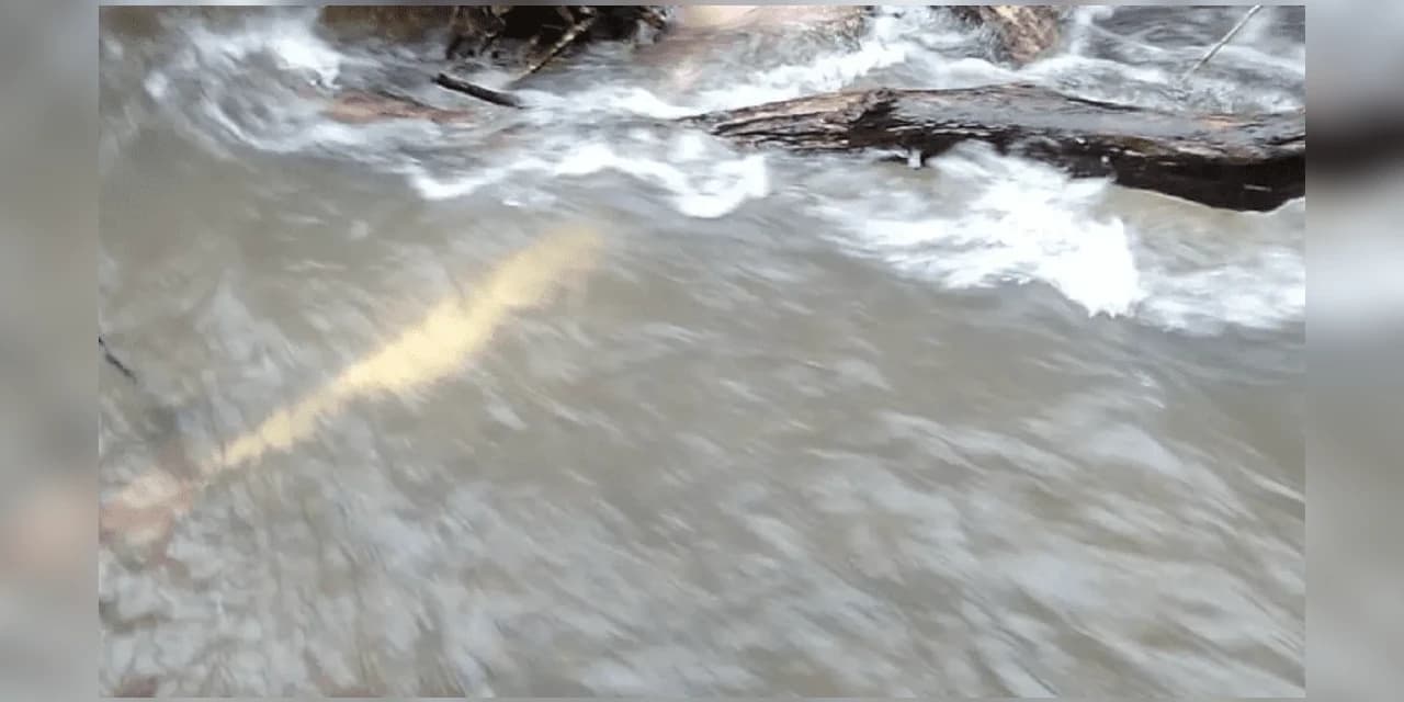 Três indígenas morrem afogados na tentativa de atravessar um rio, no município de Nova Laranjeiras