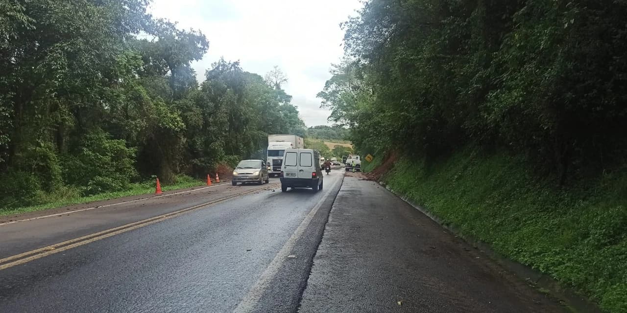 Chuvas causam quedas de árvores e deslizamentos de terra na BR-277, em Cantagalo e região
