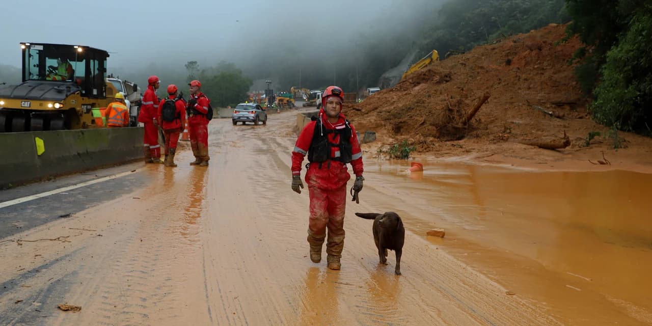 Forças de salvamento fazem nova varredura na BR-376 e não encontram vítimas