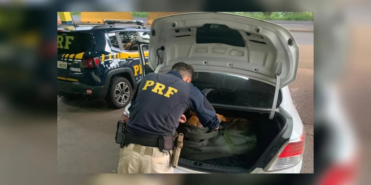 Prudentopolitanos são absolvidos por associação ao crime, mas condenados por tráfico de drogas em regime semiaberto