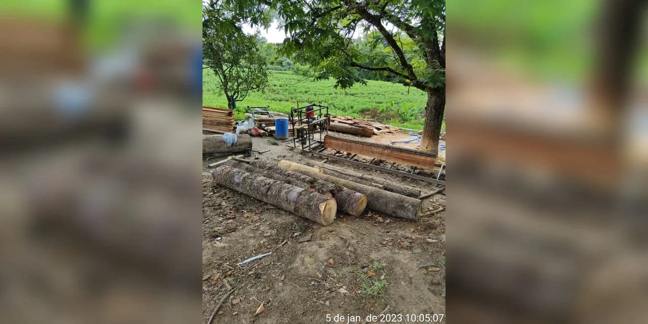 Polícia Civil de Prudentópolis apreende serraria móvel e grande quantidade de madeira de Araucária