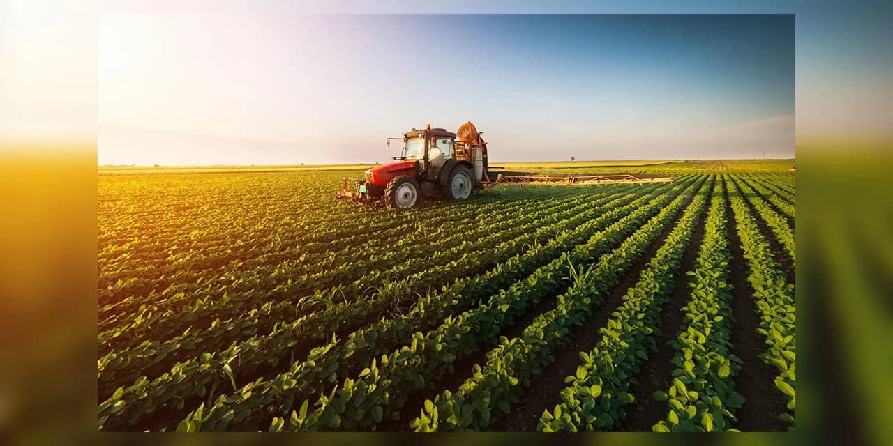 Clima adverso influencia na produção de grãos na safra 2022/23