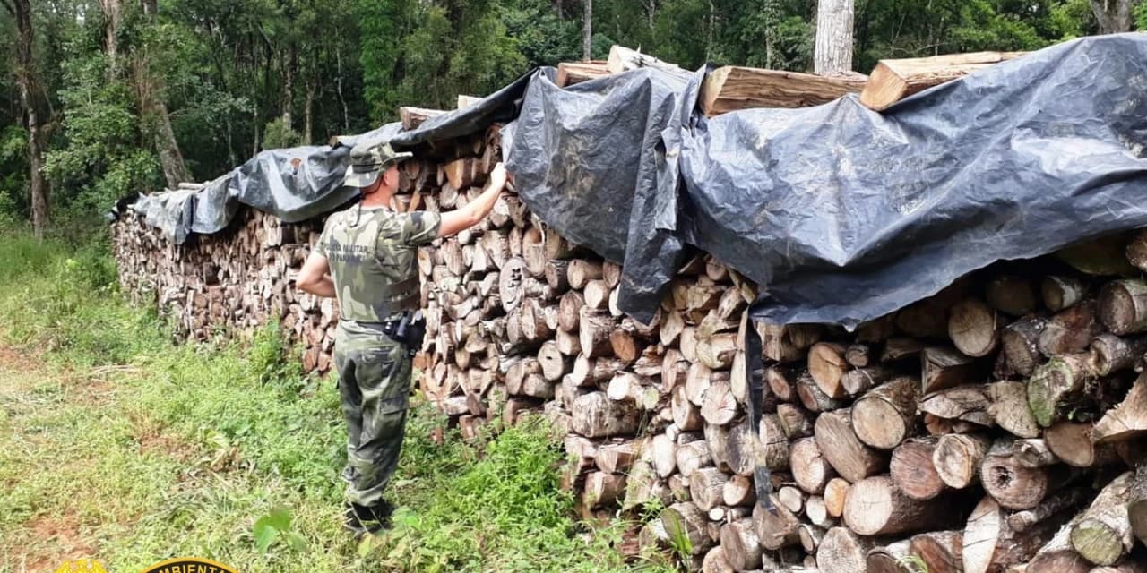 Em Ipiranga homem é autuado pela Polícia Ambiental em R$ 24 mil reais