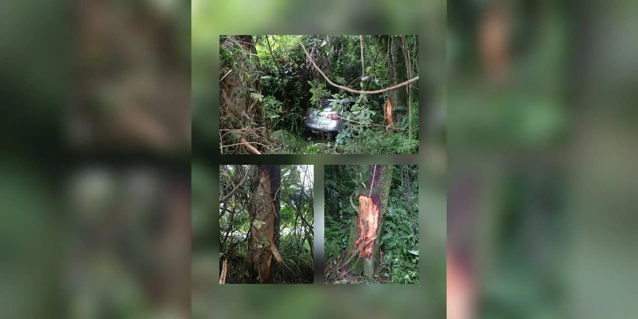 Homem morre em acidente na BR 277, em Laranjeiras do Sul