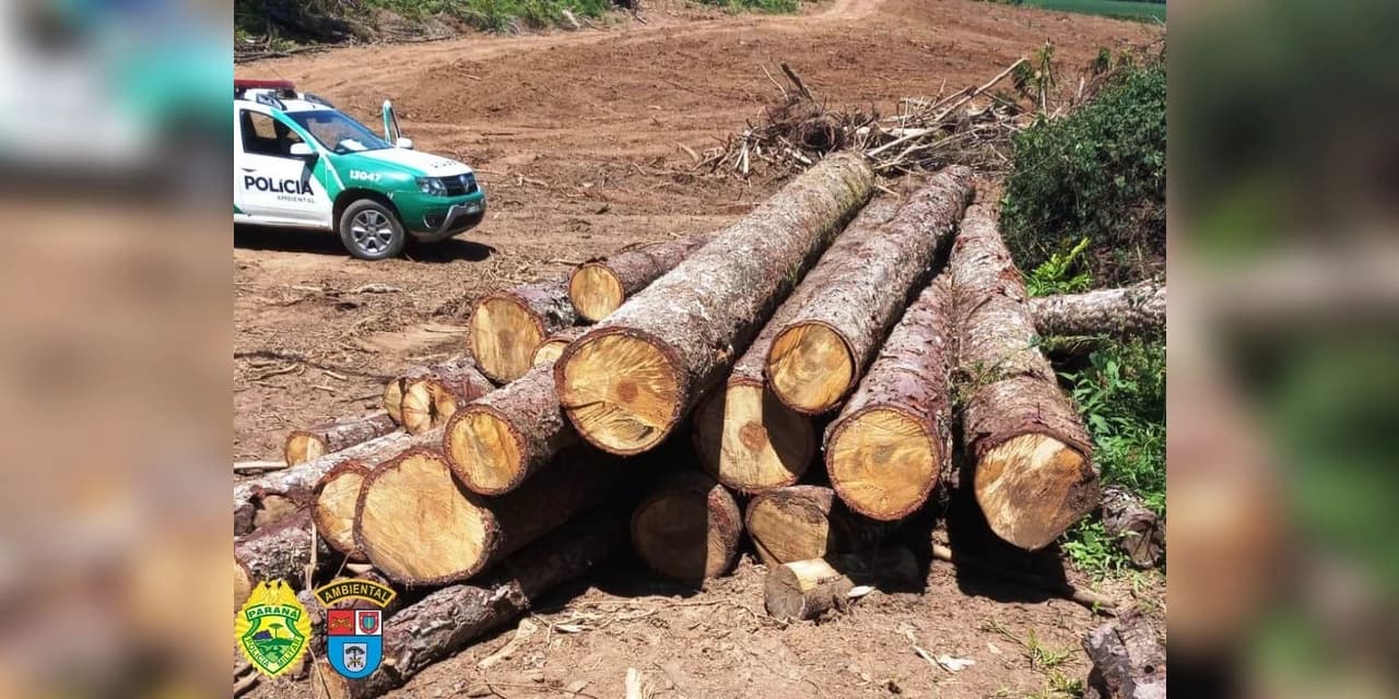 Em Ivaí Polícia Ambiental aplica multa de R$ 73 mil e apreende madeiras e uma retro escavadeira