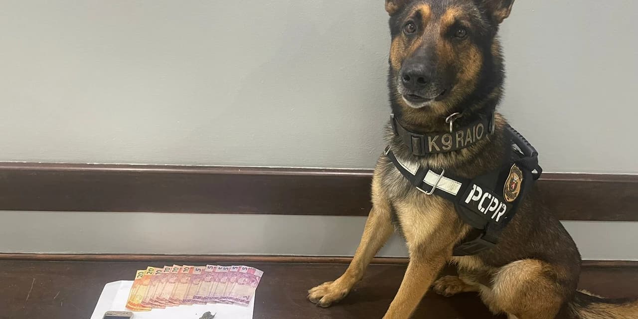 Polícia Civil cumpre mandados de busca e apreensão de tráfico em Guarapuava