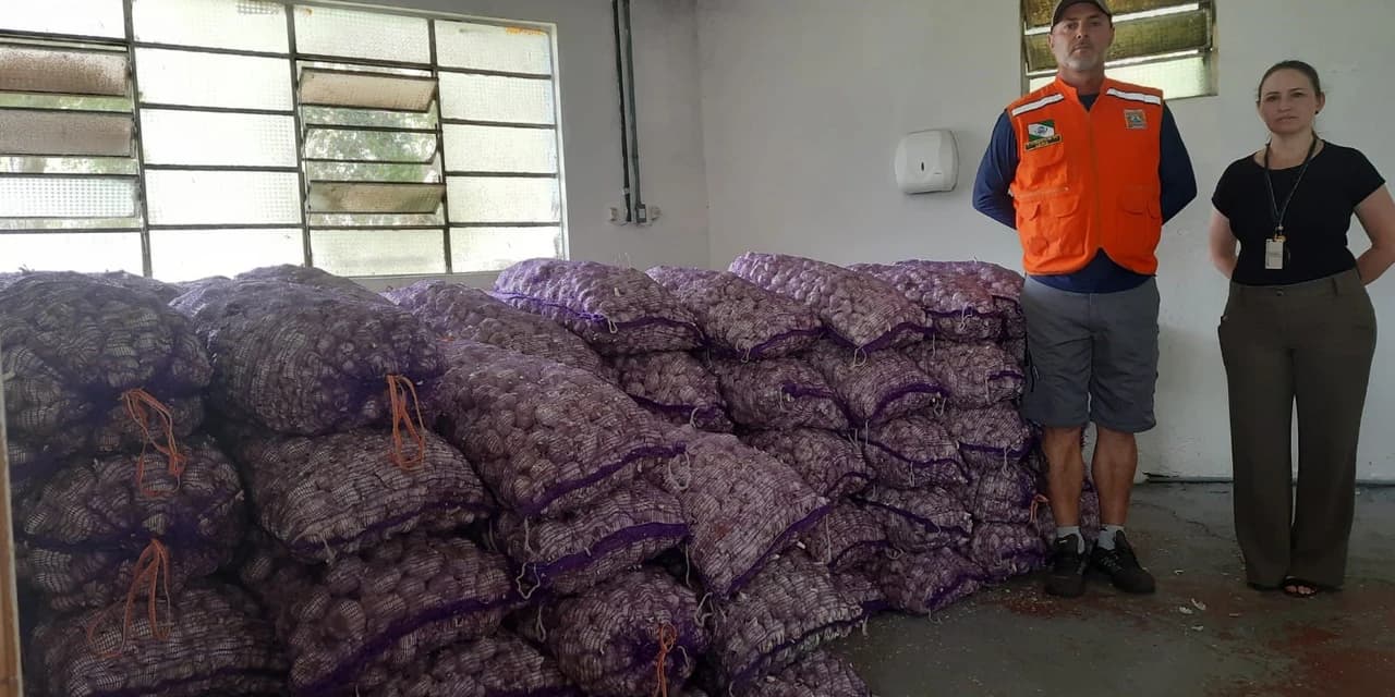 Programa Compra Direta recebe e distribui 27 toneladas de alho apreendidas pela Receita Federal