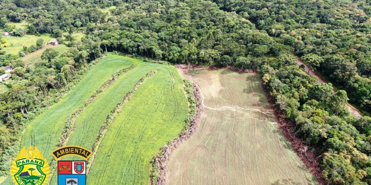 Em Irati homem que desrespeitou embargo é multado em R$ 100 mil reais