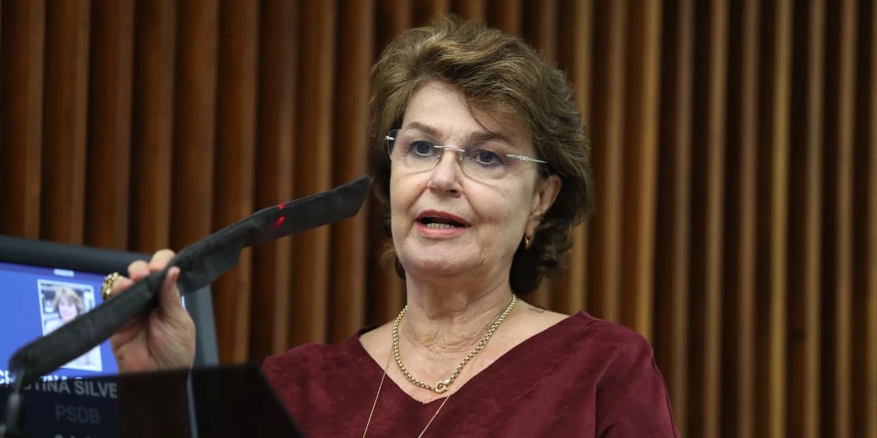Deputada Cristina Silvestri apresenta projeto que cria política pública permanente para autores de violência doméstica e familiar