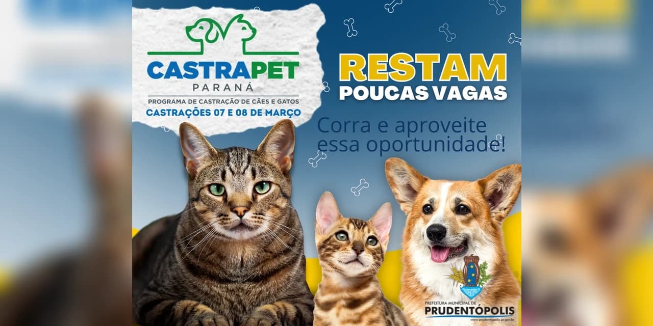 Ainda restam vagas para Castrapet em Prudentópolis