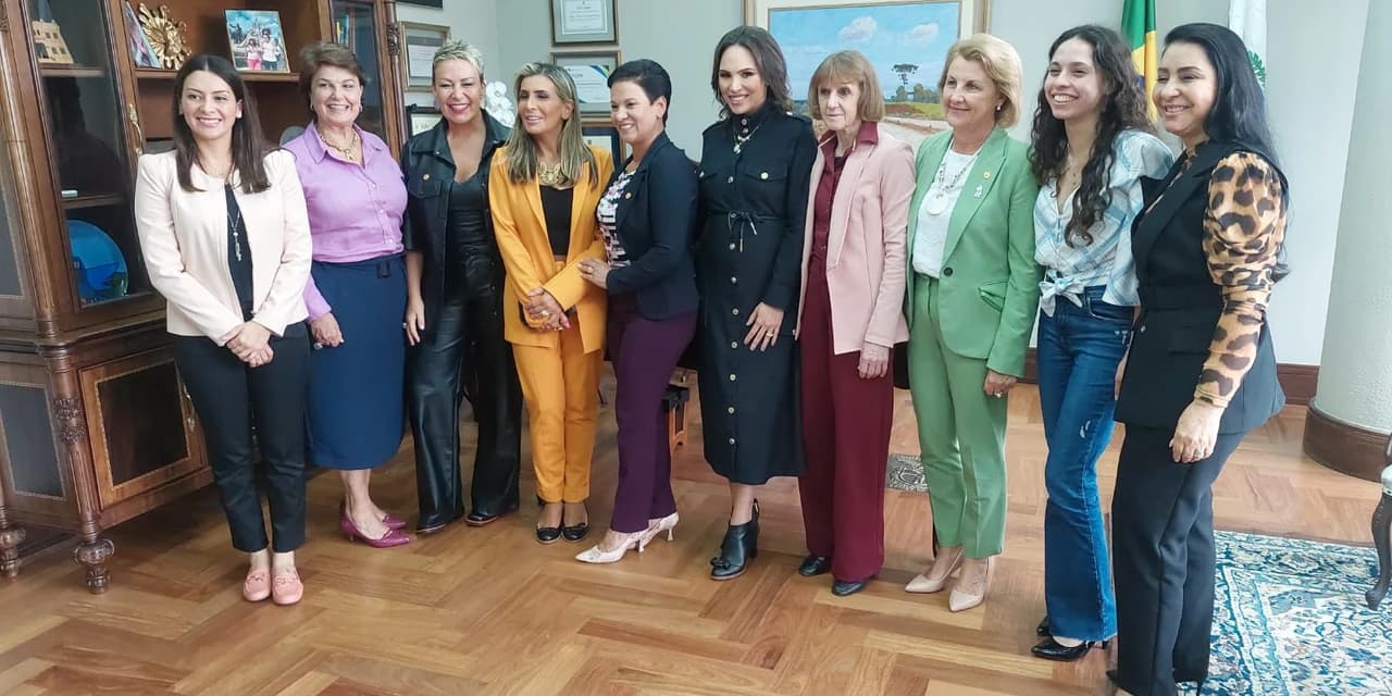 Bancada Feminina pede a regulamentação de leis que tratam de direitos das mulheres