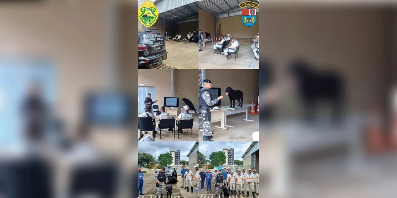 Operações com cães realiza palestra sobre ataque de cães para funcionários do grupo Energisa, em Guarapuava