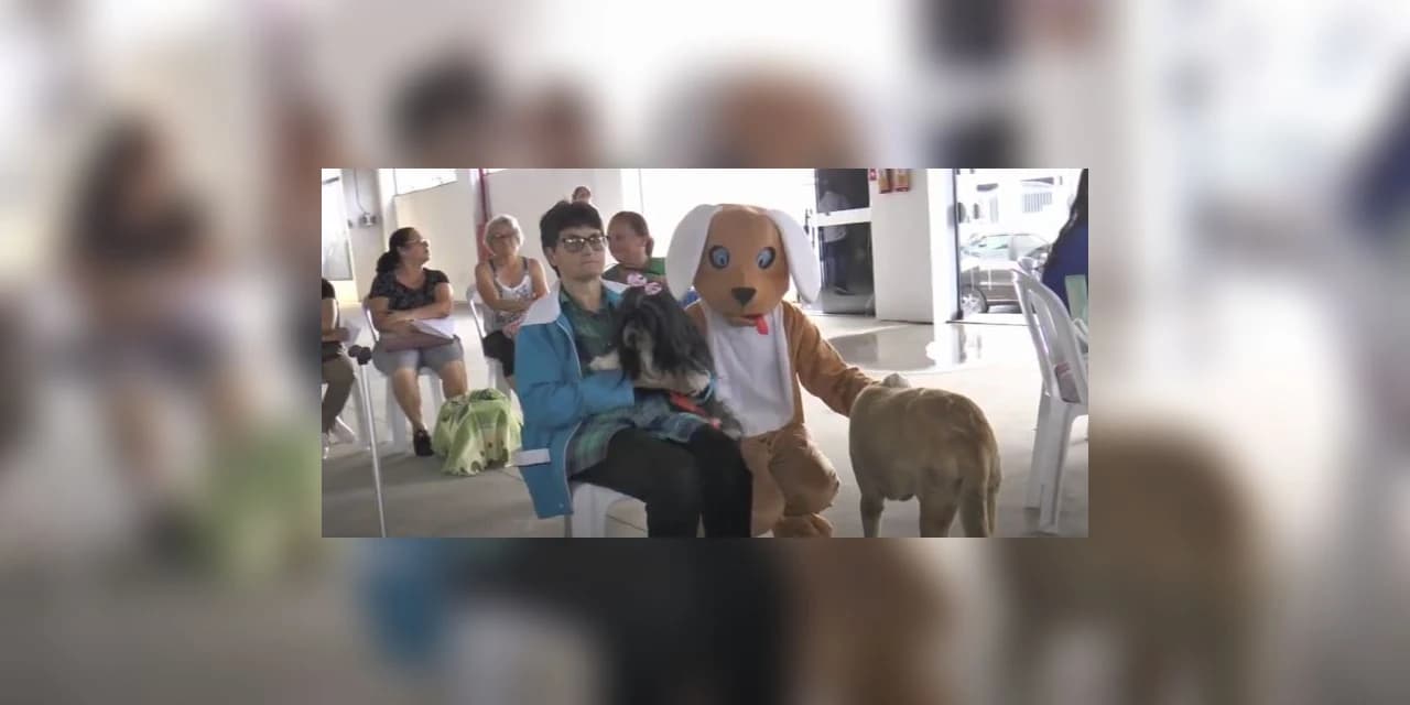 Mais de 230 animais foram castrados pelo Castrapet em Prudentópolis