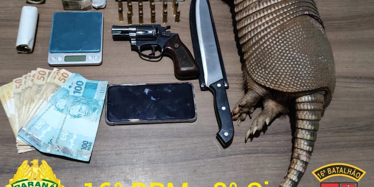 Durante abordagem polícia apreende armas, drogas e um tatu abatido