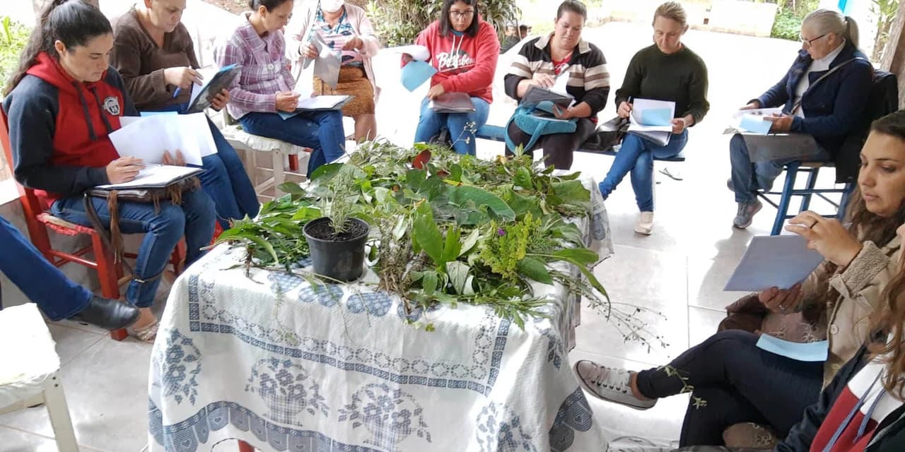 Projeto da Unicentro incentiva uso de plantas medicinais para gerar renda a agricultoras