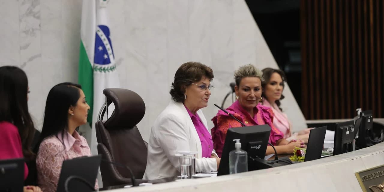 Fundo Estadual dos Direitos da Mulher, solicitado pela deputada Cristina Silvestri há quatro anos, é aprovado pela CCJ