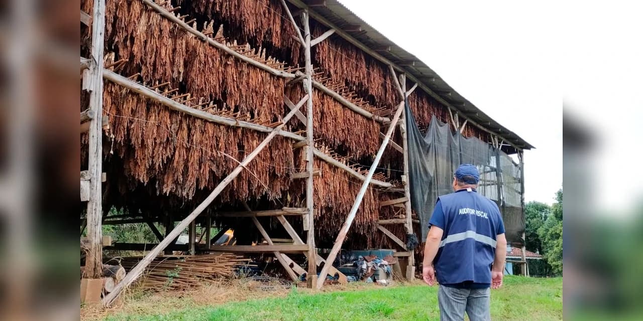 Receita Estadual localiza 45 toneladas irregulares de fumo em folha na região de Guarapuava