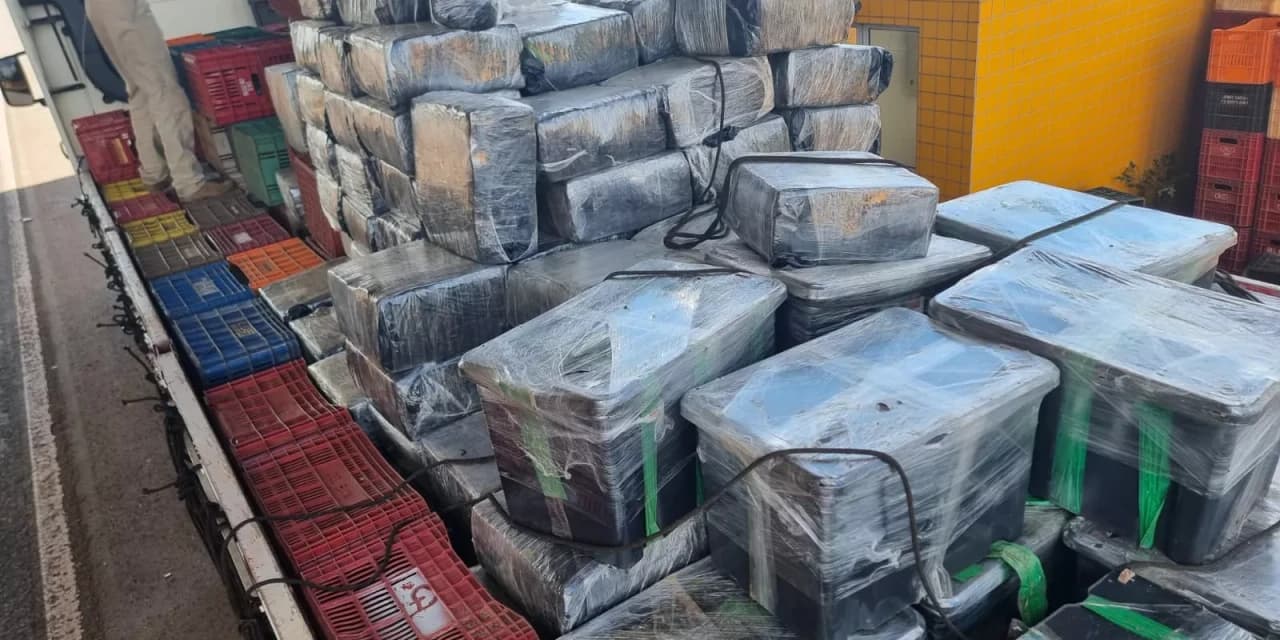 Polícia Rodoviária Federal faz maior apreensão de maconha do sul do Brasil este ano