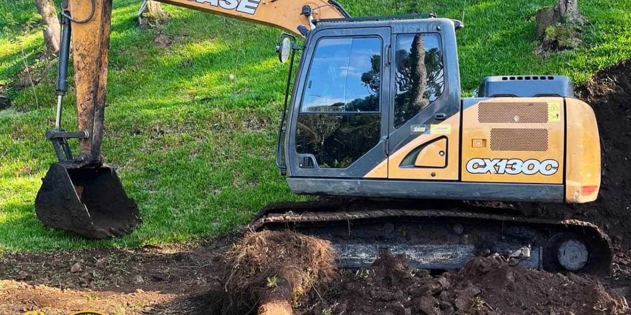 Infratores são presos em flagrante cometendo crime ambiental em Guarapuava