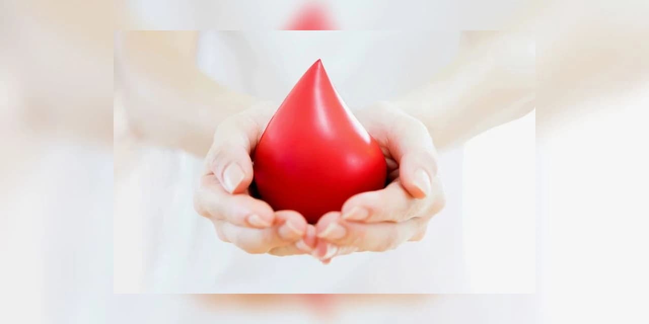 Com bancos em estado crítico, Hemepar reforça importância da doação de sangue