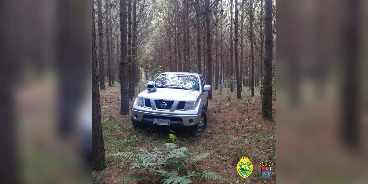 Em Ivaí homem morre em confronto com a polícia após roubar caminhonete