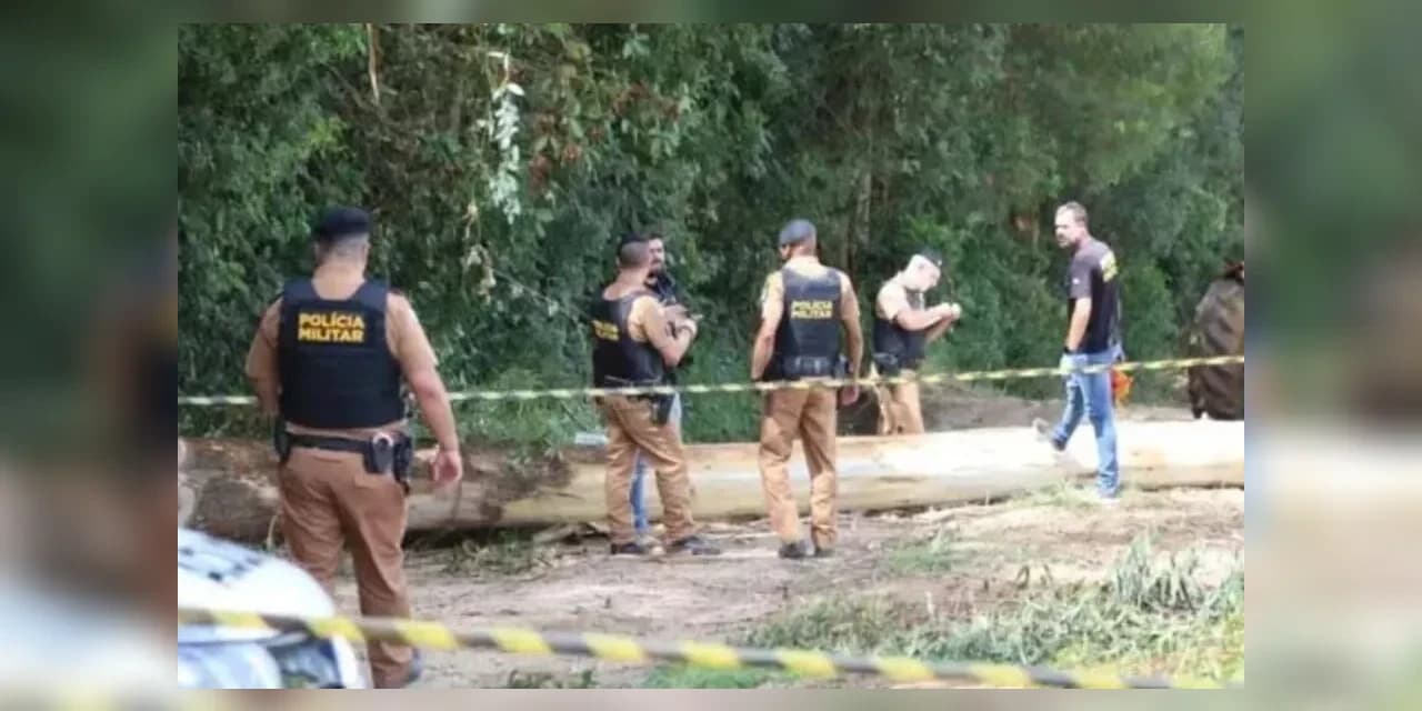 Filha morre após ser atingida por eucalipto na frente do pai em Ponta Grossa