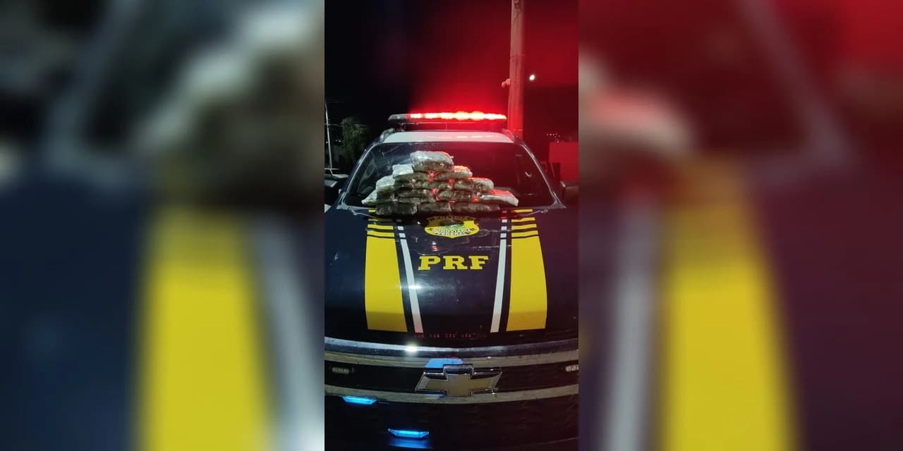 PRF apreende cerca 5 quilos de Maconha, na sua forma de Skunk, em Guarapuava