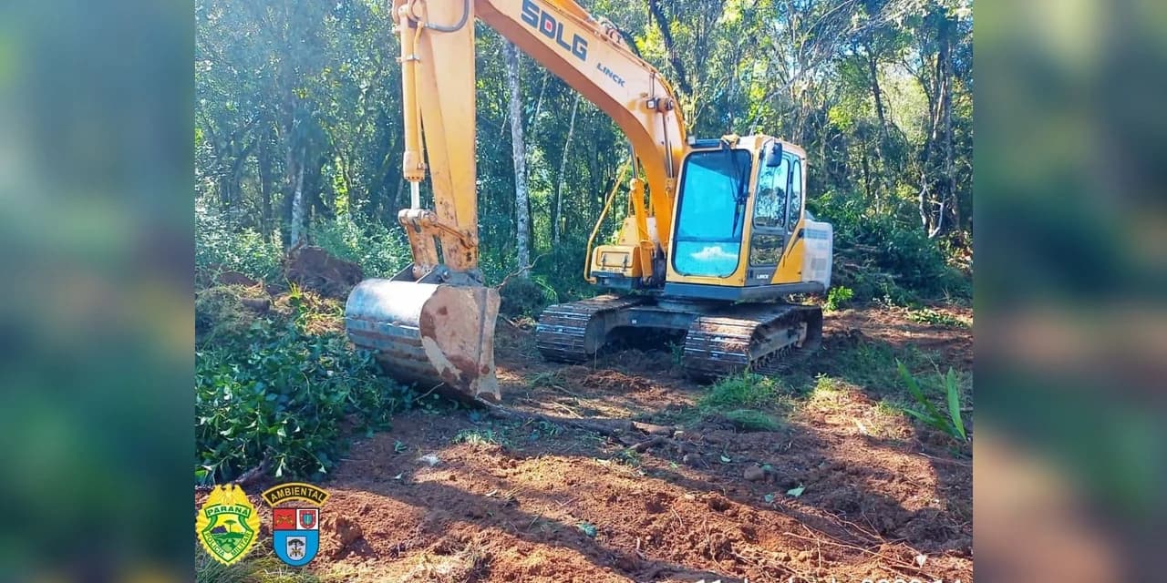Dois infratores são presos em flagrante por dano ambiental em Fernandes Pinheiro