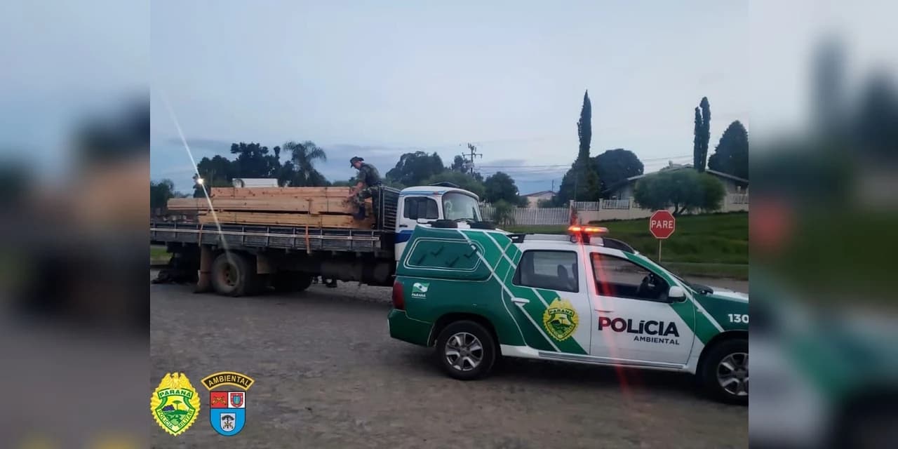 Polícia apreende caminhão carregado com madeira de araucária, em Imbituva