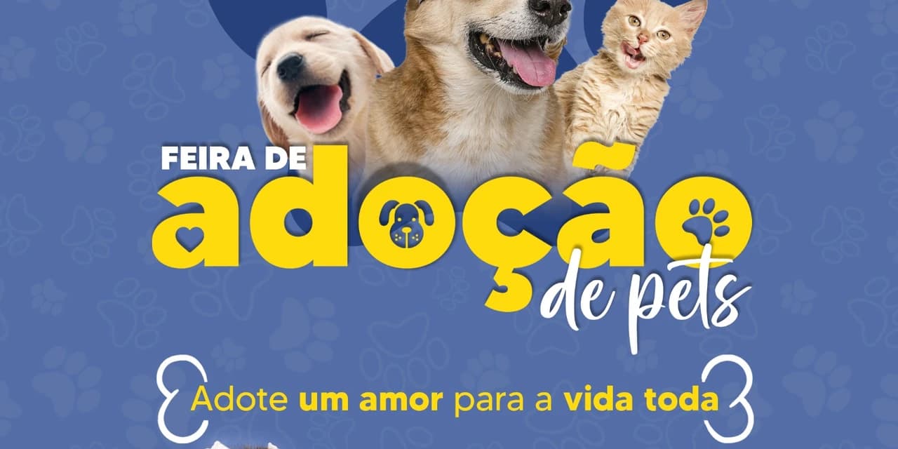 Feira de Adoção de Pets acontece no domingo (30), no Parque Aquático de Irati