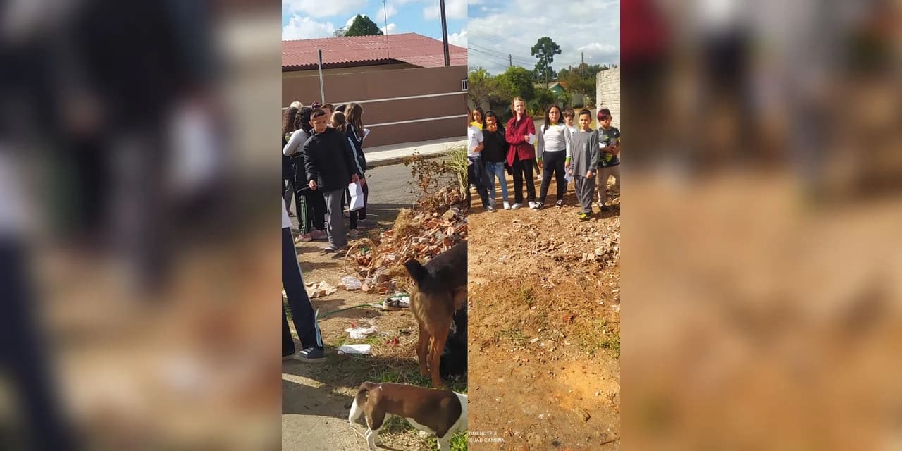 Transformando lugares onde vivemos: Alunos participam de projeto e ensinam sobre preservação do meio ambiente
