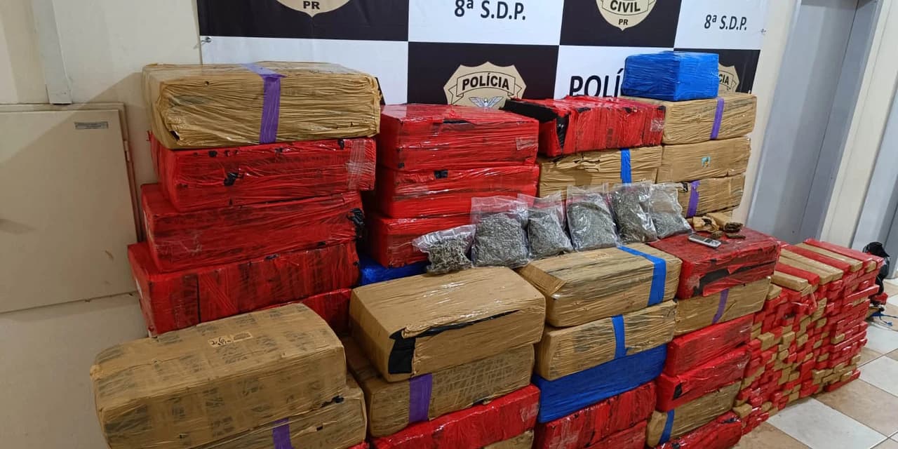 Forças de segurança apreendem mais de 5 toneladas de drogas em pouco mais de 24 horas no Paraná