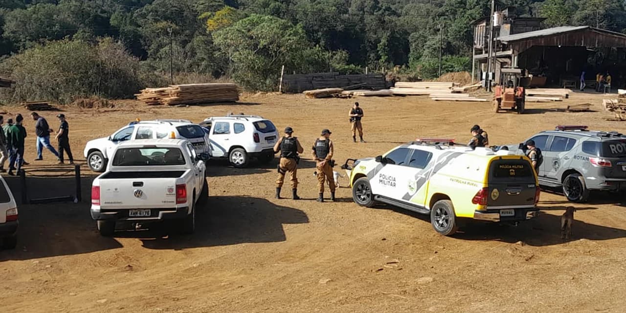 Operação conjunta combate comércio de madeira ilegal no Sul do Paraná