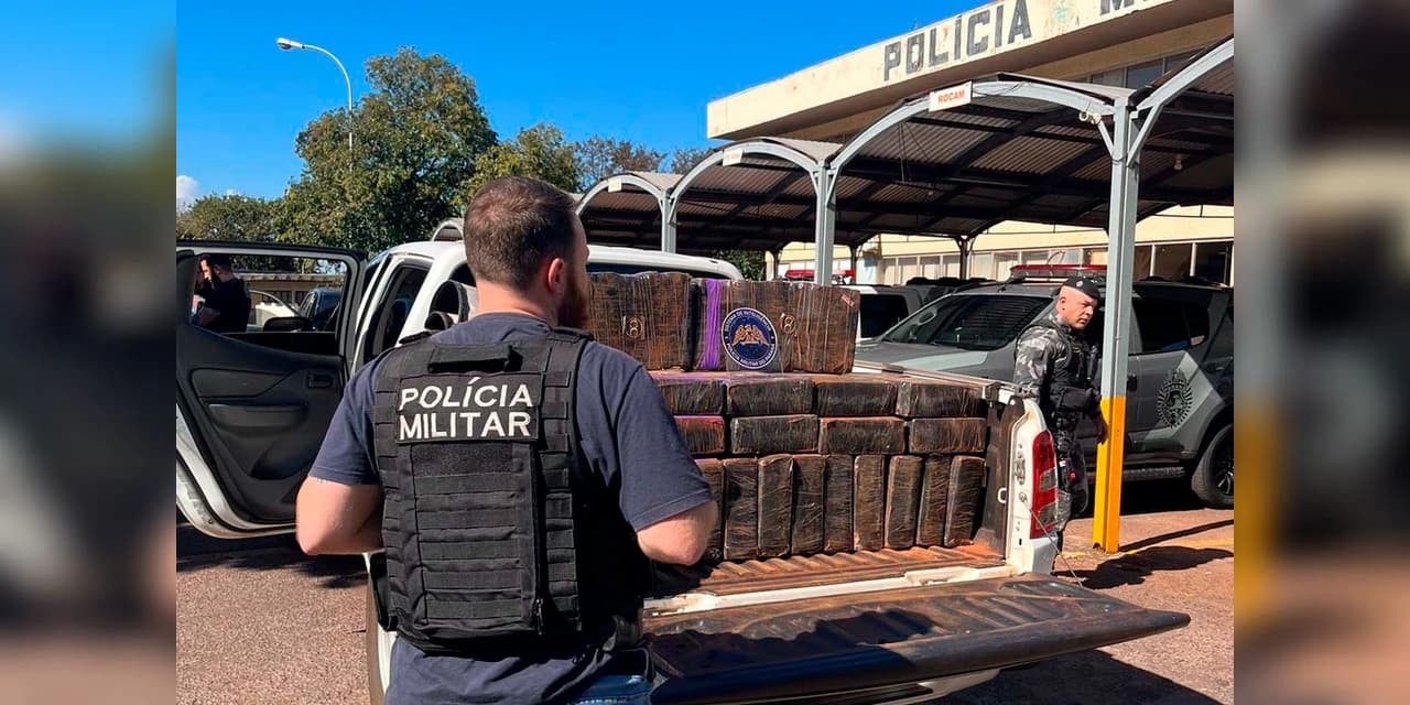 Apreensão de maconha aumenta 65% no Paraná nos primeiros cinco meses de 2023